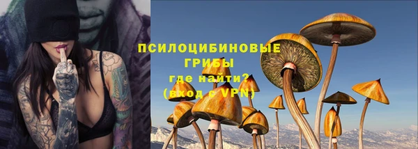 бошки Алзамай