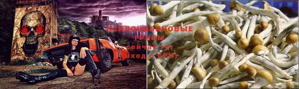 гашишное масло Алексеевка