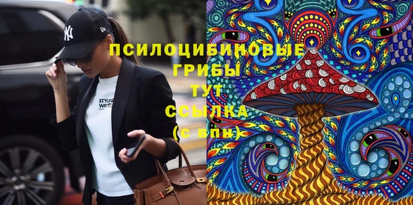 мескалин Алексин